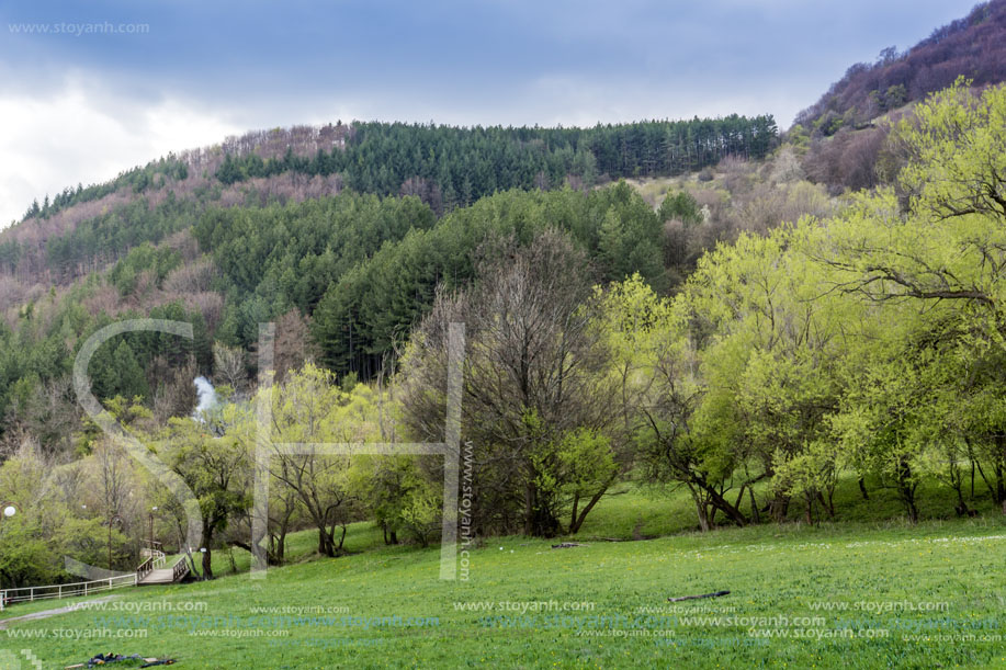 Стара Планина близо до село Заселе, София Област