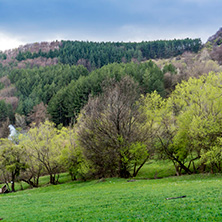 Стара Планина близо до село Заселе, София Област - Снимки от България, Курорти, Туристически Дестинации