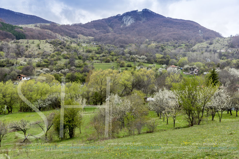 Стара Планина близо до село Заселе, София Област