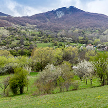 Стара Планина близо до село Заселе, София Област - Снимки от България, Курорти, Туристически Дестинации