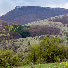 Стара Планина близо до село Заселе, София Област