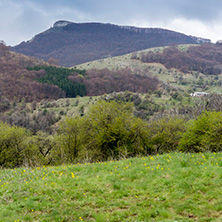 Стара Планина близо до село Заселе, София Област - Снимки от България, Курорти, Туристически Дестинации