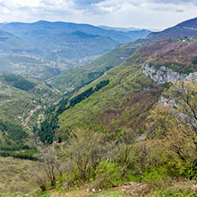 Стара Планина близо до село Заселе, София Област