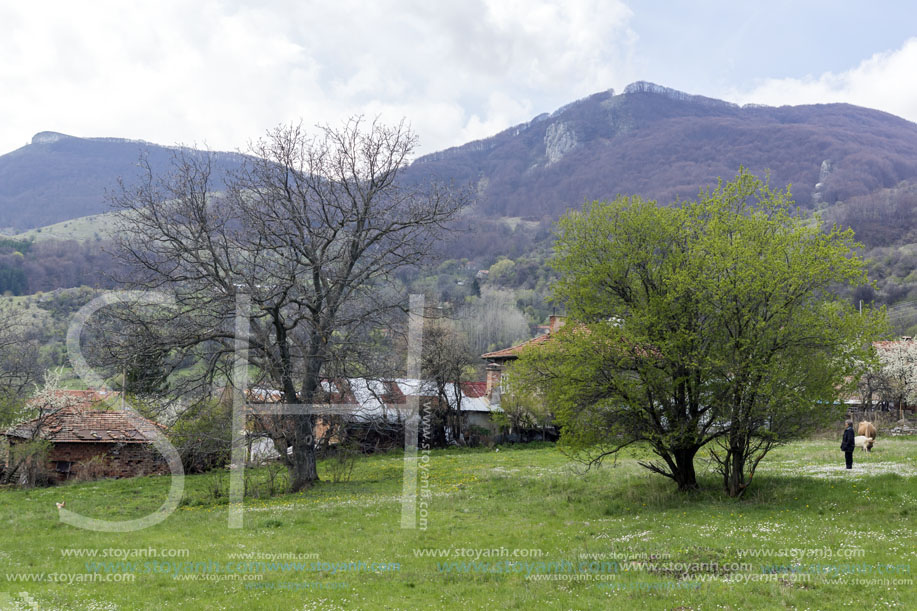 Село Заселе, София Област