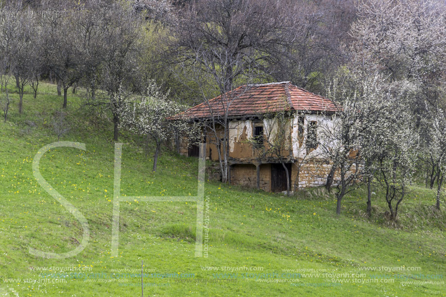 Село Заселе, София Област