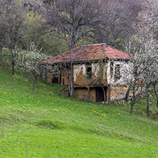 Село Заселе, София Област - Снимки от България, Курорти, Туристически Дестинации