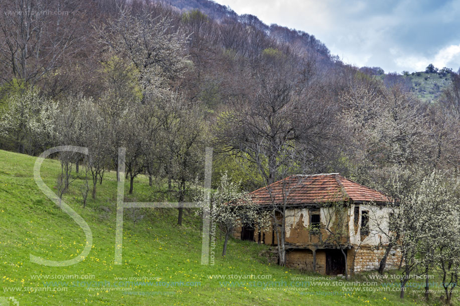 Село Заселе, София Област