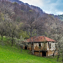 Село Заселе, София Област