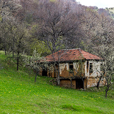 Село Заселе, София Област