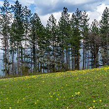 Стара Планина близо до село Заселе, София Област - Снимки от България, Курорти, Туристически Дестинации