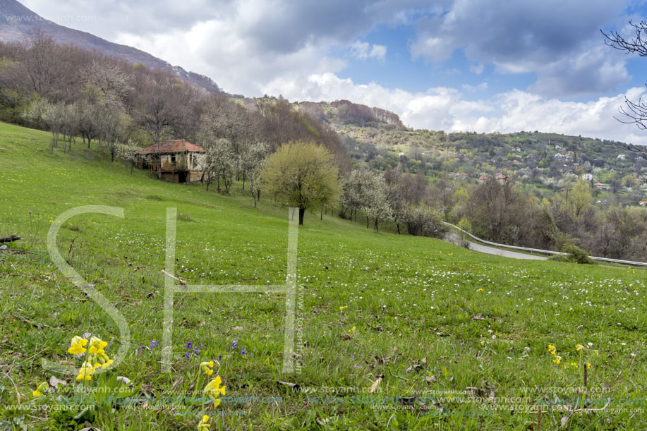 Стара Планина близо до село Заселе, София Област