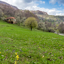 Стара Планина близо до село Заселе, София Област