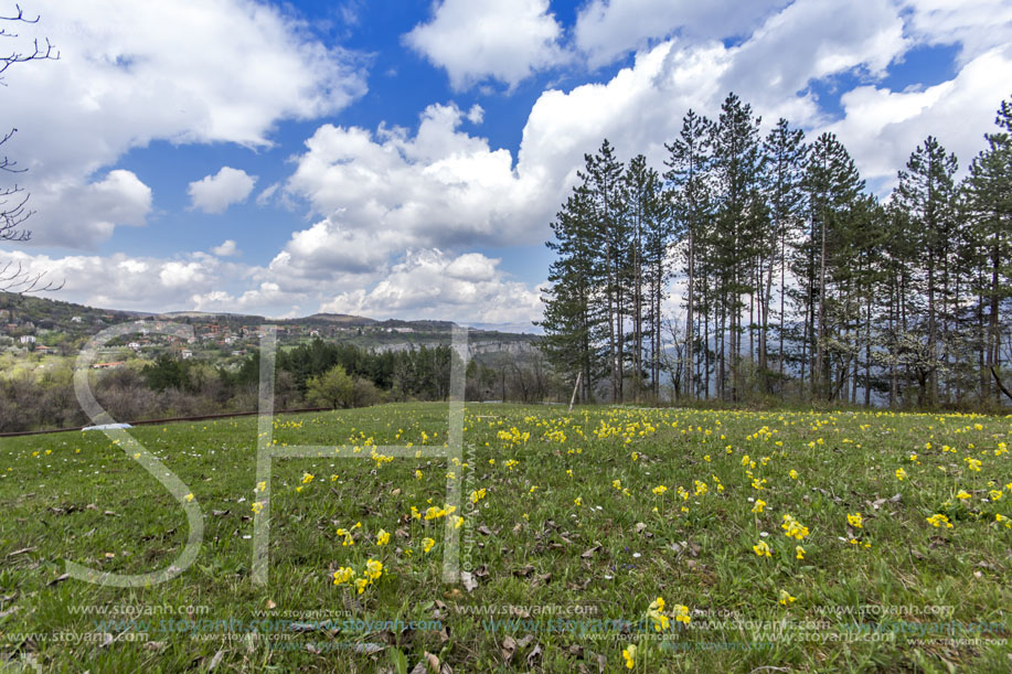 Стара Планина близо до село Заселе, София Област