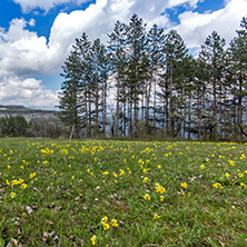 Стара Планина близо до село Заселе, София Област