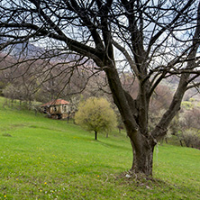 Стара Планина близо до село Заселе, София Област