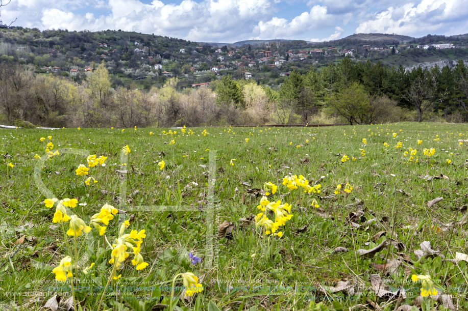 Стара Планина близо до село Заселе, София Област