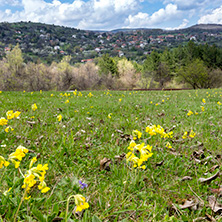 Стара Планина близо до село Заселе, София Област - Снимки от България, Курорти, Туристически Дестинации