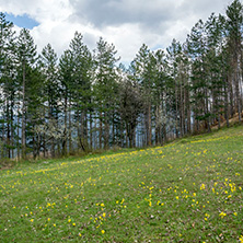 Стара Планина близо до село Заселе, София Област