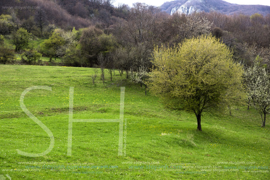 Стара Планина близо до село Заселе, София Област