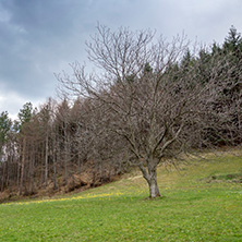 Стара Планина близо до село Заселе, София Област