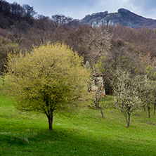 Стара Планина близо до село Заселе, София Област
