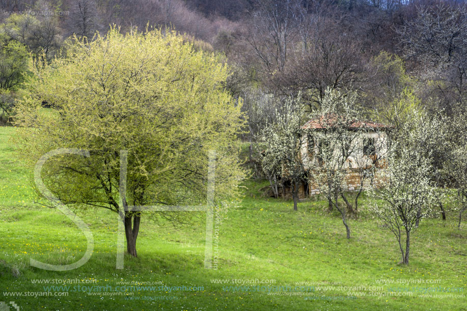 Стара Планина близо до село Заселе, София Област