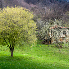 Стара Планина близо до село Заселе, София Област