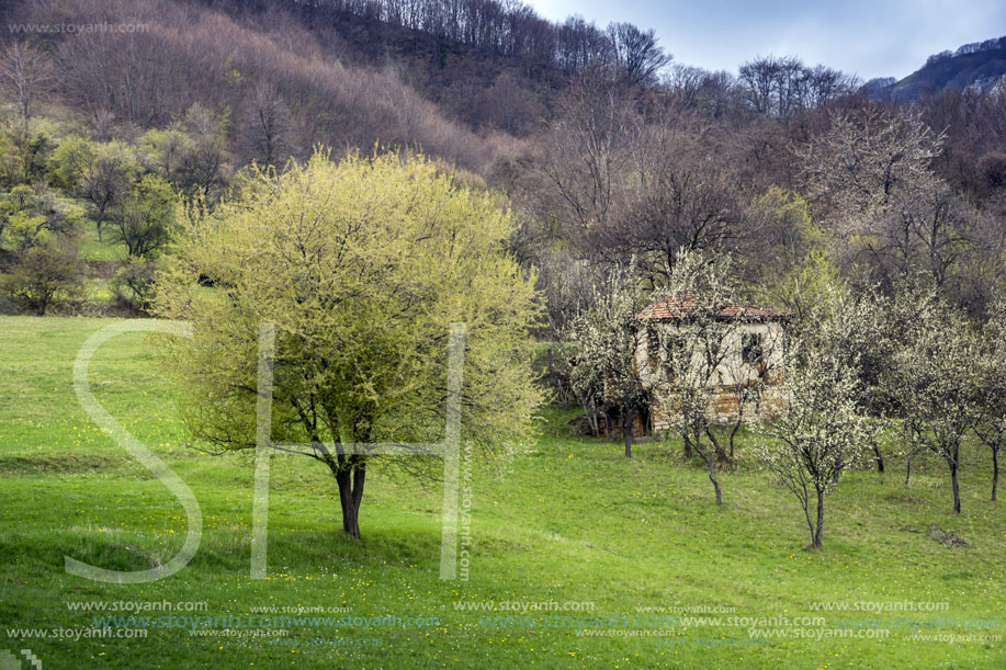 Стара Планина близо до село Заселе, София Област