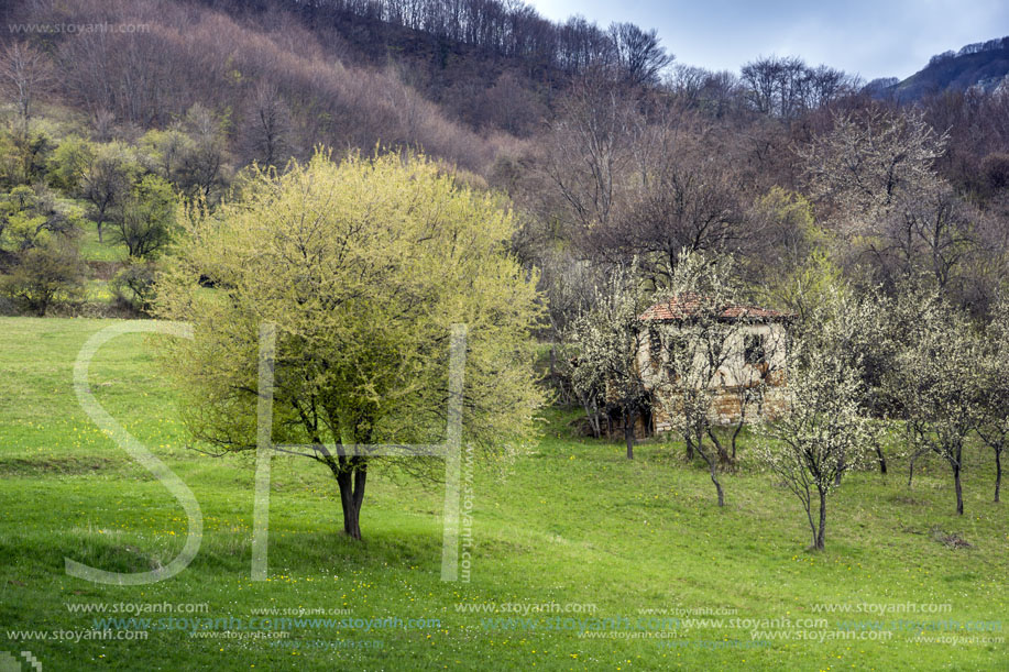 Стара Планина близо до село Заселе, София Област