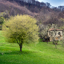 Стара Планина близо до село Заселе, София Област