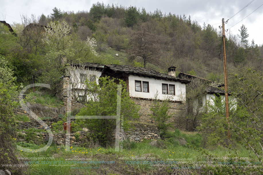 Село Косово, Област Пловдив