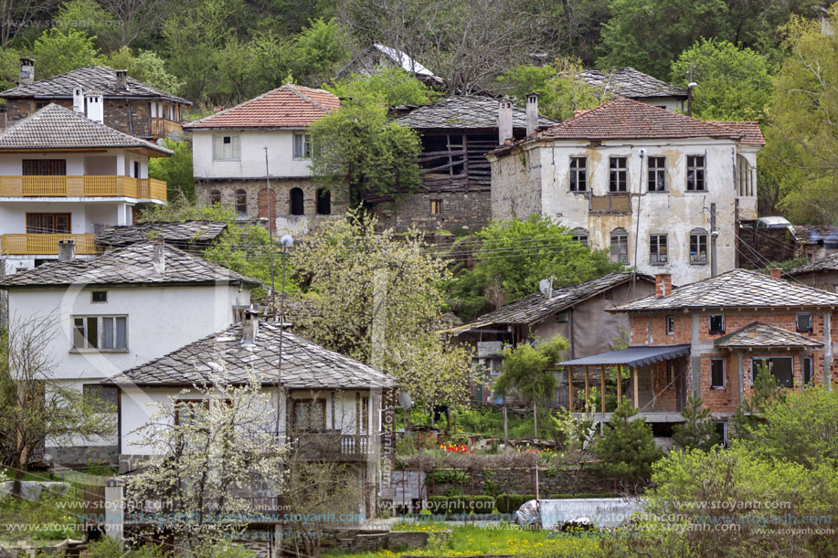 Село Косово, Област Пловдив