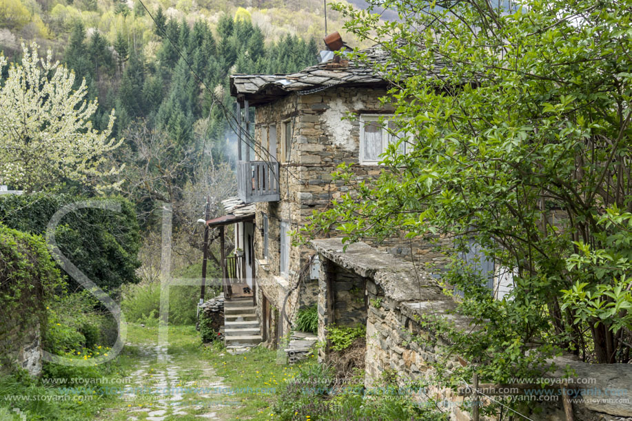 Село Косово, Област Пловдив