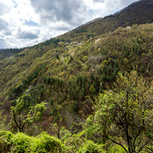 Планина Родопи, Село Косово, Област Пловдив - Снимки от България, Курорти, Туристически Дестинации