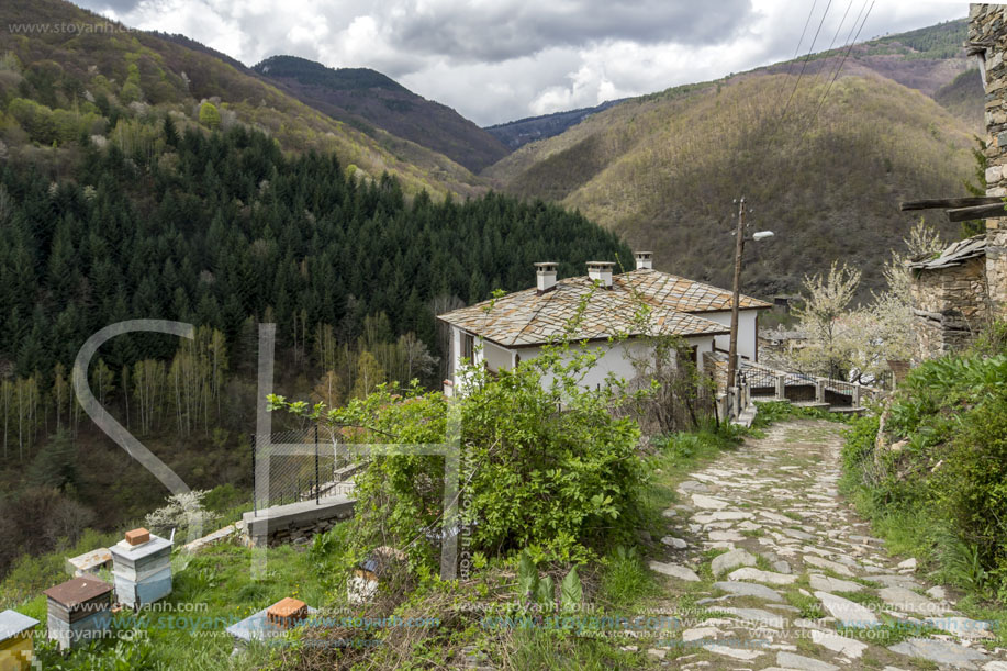 Село Косово, Област Пловдив