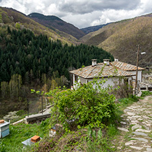 Село Косово, Област Пловдив