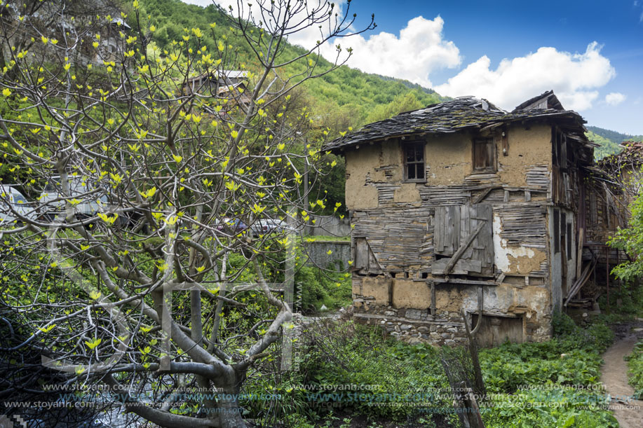 Село Пирин, Стари Къщи, Област Благоевград