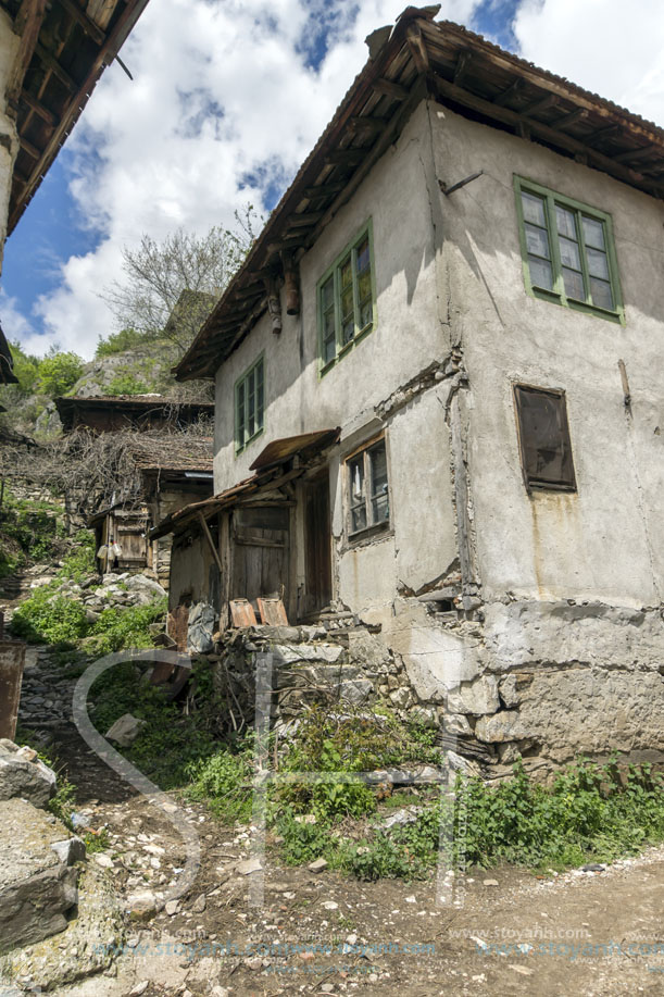 Село Пирин, Област Благоевград