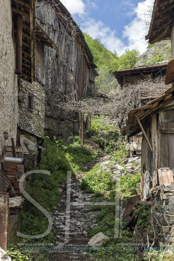 Село Пирин, Стари Къщи, Област Благоевград