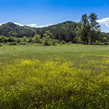 Пирин Планина, Близо до село Катунци, Област Благоевград