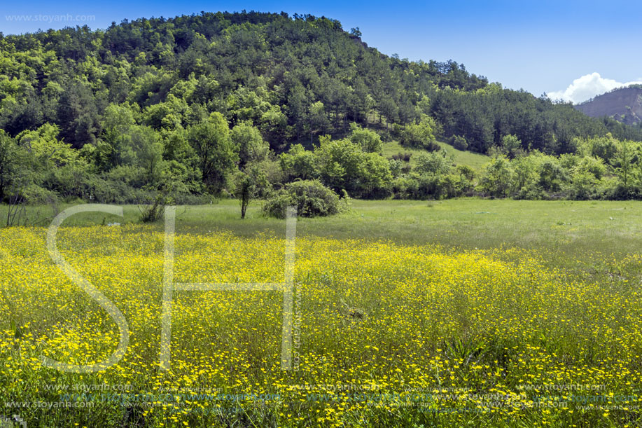 Пирин Планина, Близо до село Катунци, Област Благоевград