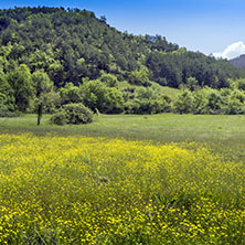 Пирин Планина, Близо до село Катунци, Област Благоевград