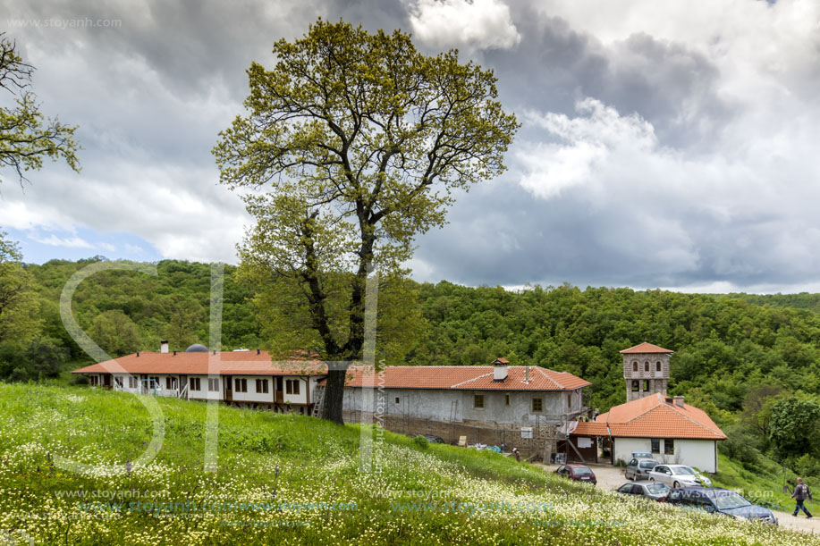 Църногорският манастир, (Гигински манастир), (Черногорски манастир)  Свети Безсребреници Козма и Дамян, Област Перник