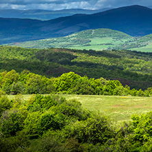 Планина Любаш, Руйско-Верилската планинска Верига, Област Перник