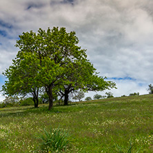 Планина Черна гора, (Църна гора), Област Перник - Снимки от България, Курорти, Туристически Дестинации