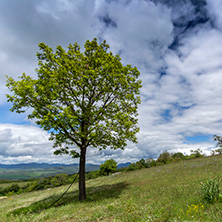 Планина Черна гора, (Църна гора), Област Перник