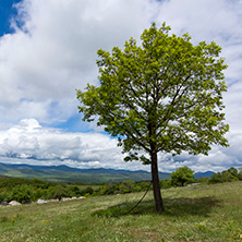 Планина Черна гора, (Църна гора), Област Перник