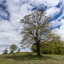 Планина Черна гора, (Църна гора), Област Перник