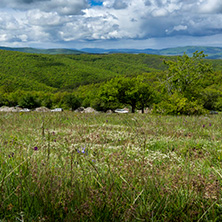 Планина Черна гора, (Църна гора), Област Перник