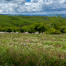 Планина Черна гора, (Църна гора), Област Перник - Снимки от България, Курорти, Туристически Дестинации